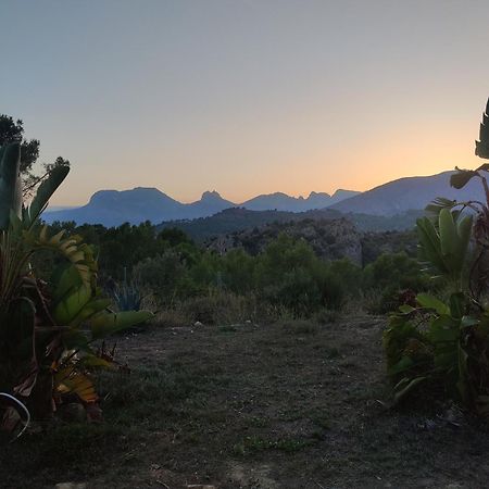 Finca Caracol Bolulla Dış mekan fotoğraf