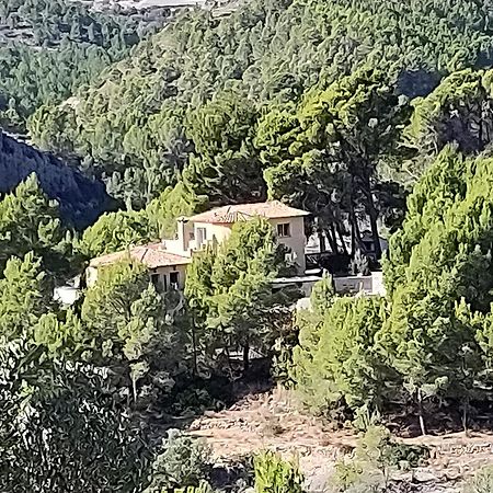 Finca Caracol Bolulla Dış mekan fotoğraf