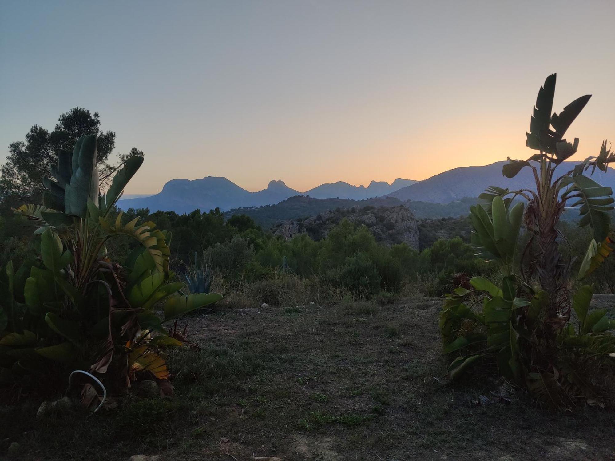 Finca Caracol Bolulla Dış mekan fotoğraf