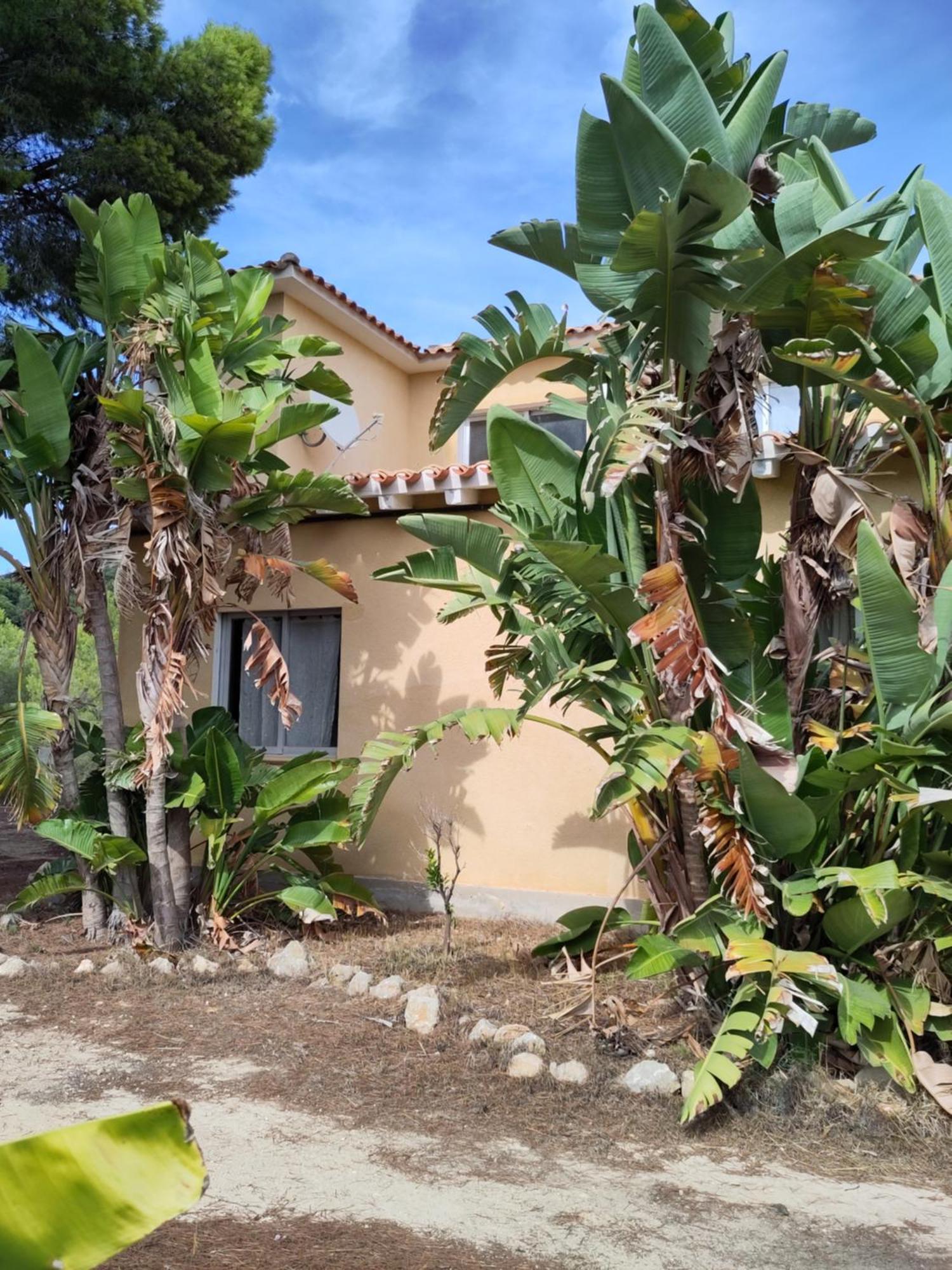 Finca Caracol Bolulla Dış mekan fotoğraf